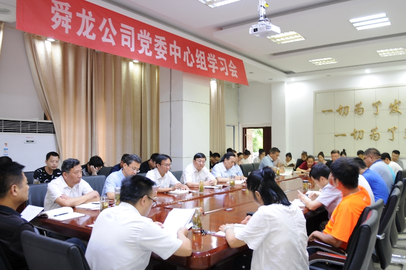 舜龍公司召開“講忠誠、嚴紀律、立政德”專題警示教育動員會